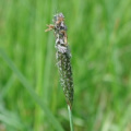 20050515_000002_bonfol.jpg