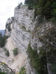 Juniperus sabina, Genévrier sabine