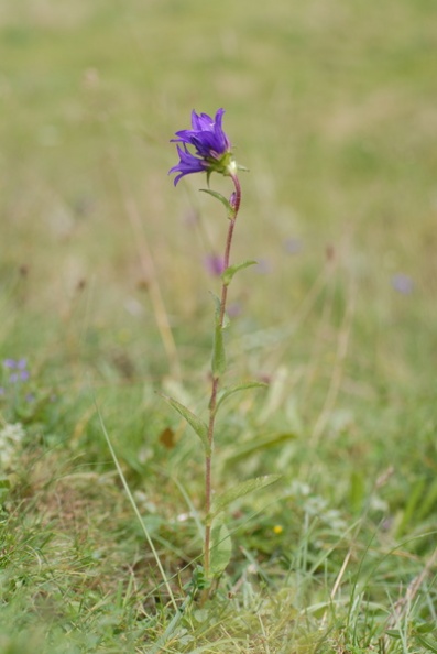 20070712_132836_la_chaux_des_breuleux.jpg