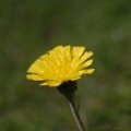 20070815_100842_epiquerez.jpg