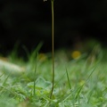 20070831_140117_mont_tramelan.jpg