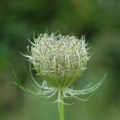 20070831_164640_tramelan.jpg