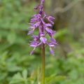20080503_122722_damvant.jpg