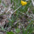 20080511_152138_court.jpg