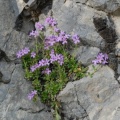 20080512_172830_mervelier.jpg