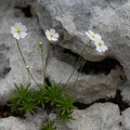 20080709_121220_villeret.jpg