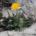 20080710_090758_nods.jpg