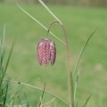 20090413_105517_epiquerez.jpg