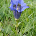20090516_172921_villeret.jpg