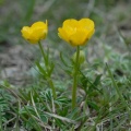 20090517_160555_nods.jpg