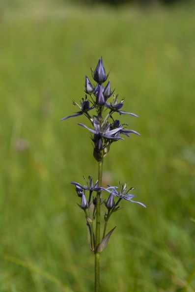 20090727_171011_courtelary.jpg
