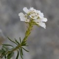 20100427_114006_pont-de-roide.jpg