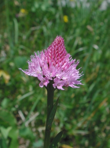 20040703_123636_nods_v02.jpg