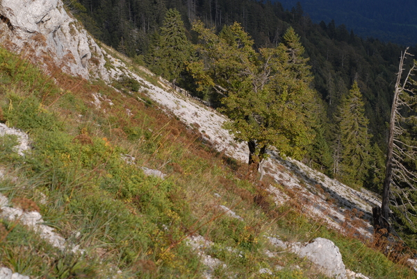 20060919_171652_nods.jpg