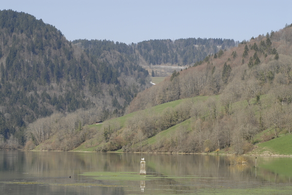 20090410_101954_biaufond.jpg