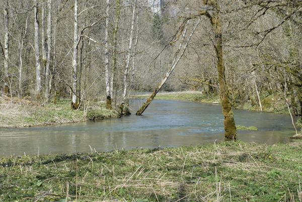 20090410_142334_les_bois.jpg