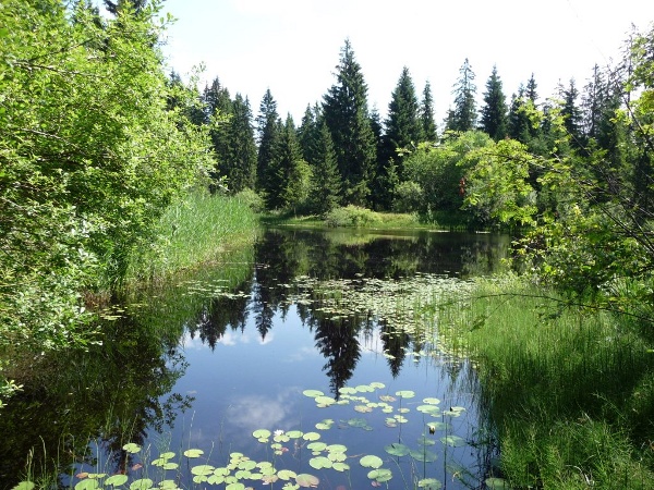 20090721_lavoir.jpg