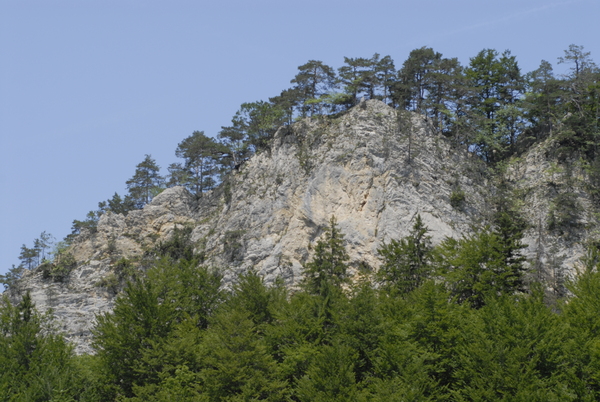 20100703_133359_seehof.jpg