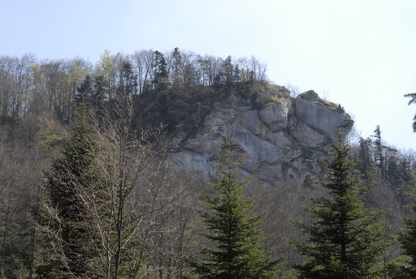 20100427_151818_asuel.jpg