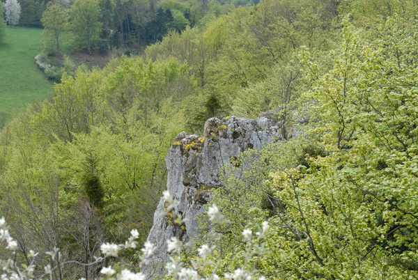 20090426_135715_kleinlutzel.jpg