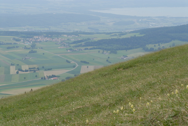 20090605_161143_nods.jpg
